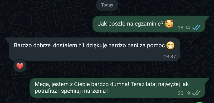 Screenshot of the original WhatsApp exchange, showing the question that prompted the reply.